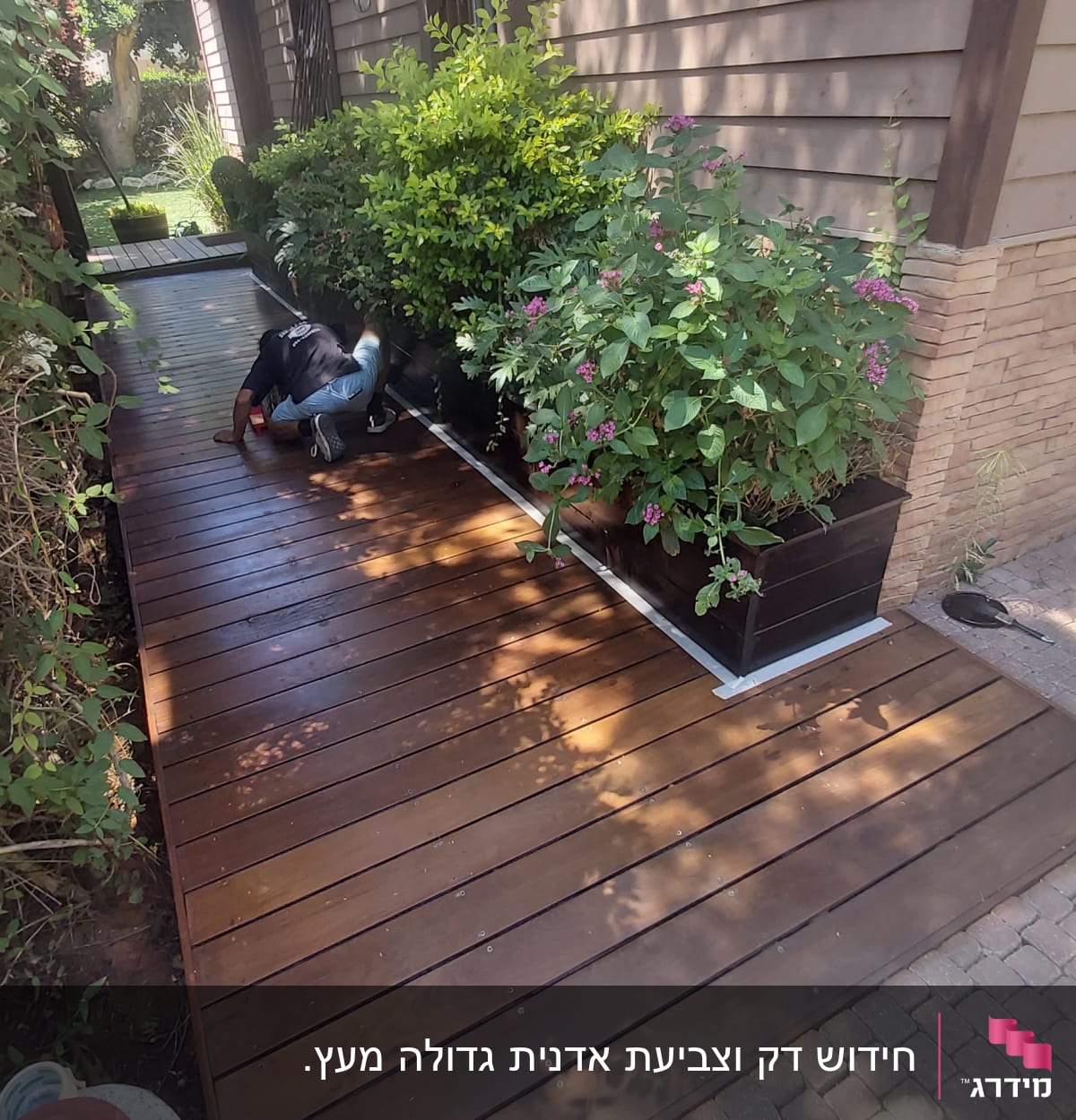 אדם עובד על דק עץ ליד עציצים ירוקים